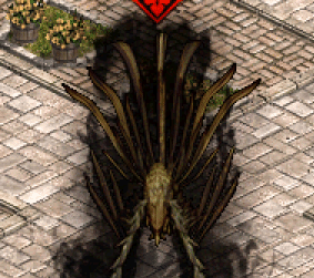 開服黑鳳凰.gif
