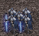 神聖騎士的手下.gif
